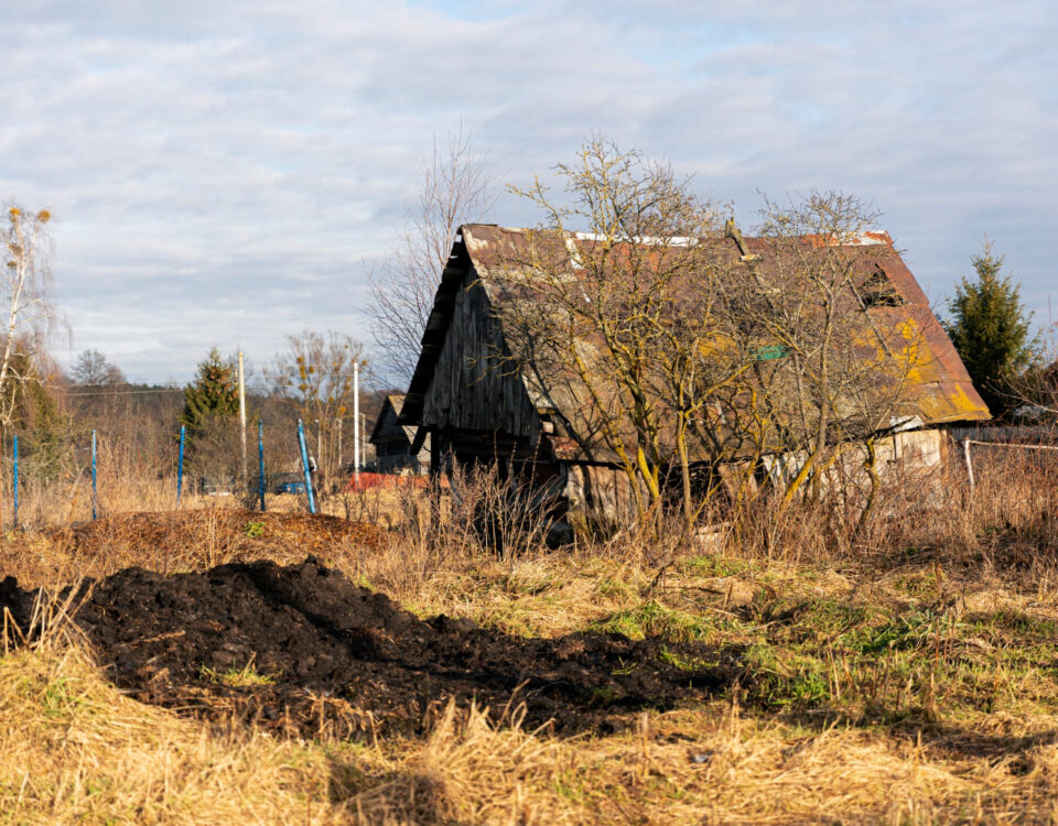 karczowanie działki