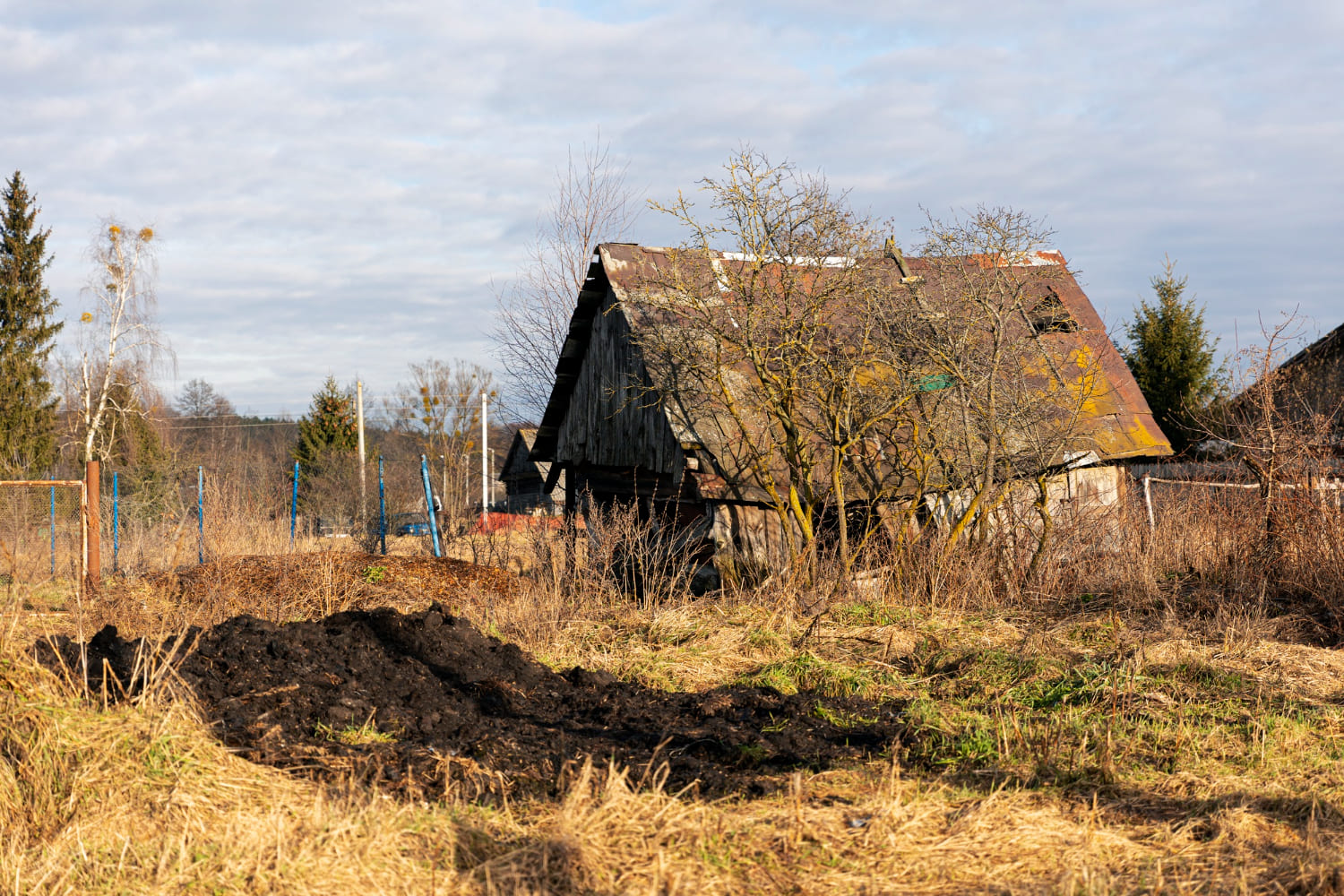 Karczowanie działki to nie lada wyzwanie! Sprawdź, co mamy na myśli